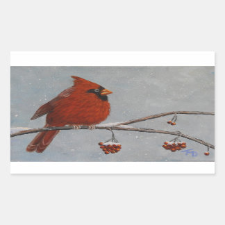 Pegatina Rectangular Cardenal Norte - Pegatinas