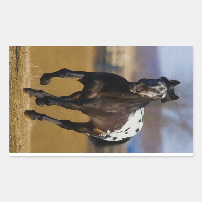 Pegatina Rectangular Cargador (Anverso)