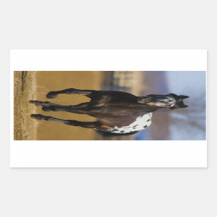 Pegatina Rectangular Cargador