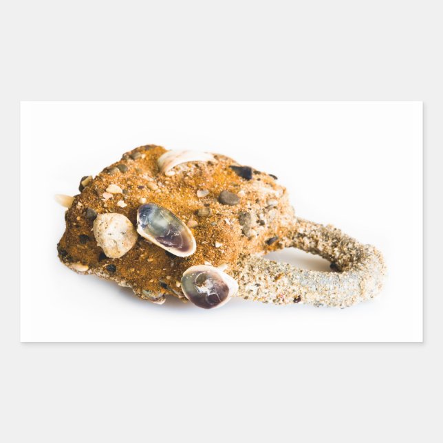 Pegatina Rectangular Carrocerada meteorológica (Anverso)