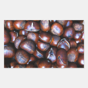 Pegatina Rectangular Castañas