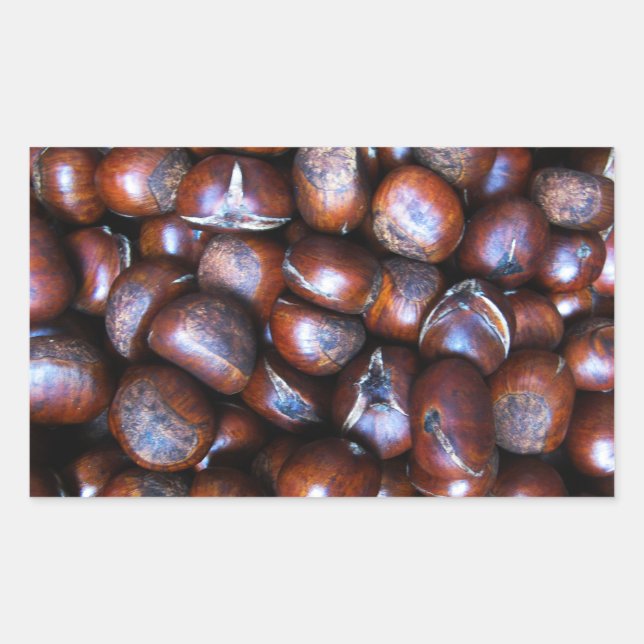 Pegatina Rectangular Castañas (Anverso)