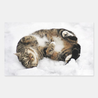 Pegatina Rectangular cats_and_snow_ (5) lindos mascotas animales gatos