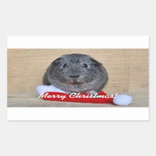 Pegatina Rectangular Cerdo guineano navidades
