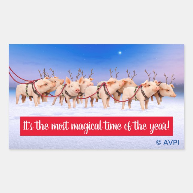 Pegatina Rectangular Cerdos de renos (Anverso)