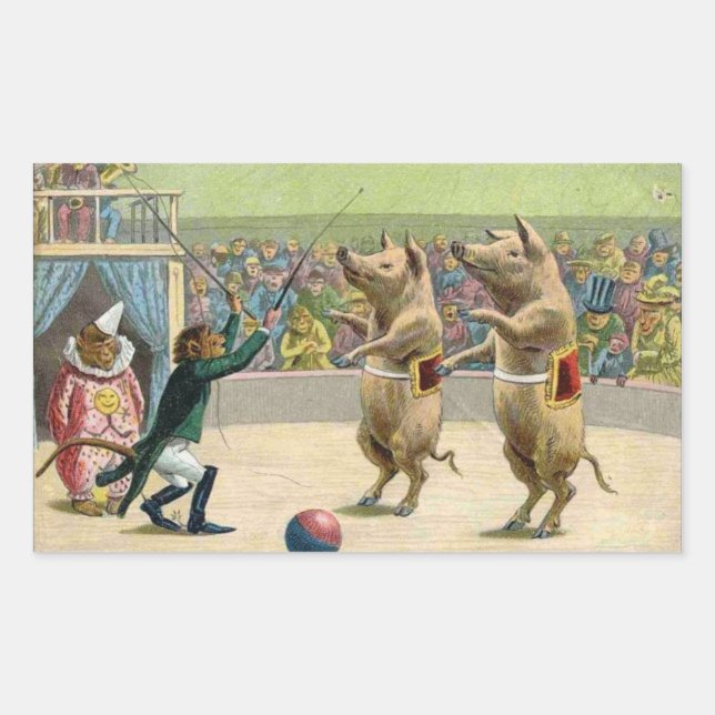 Pegatina Rectangular Cerdos del mono y del circo (Anverso)