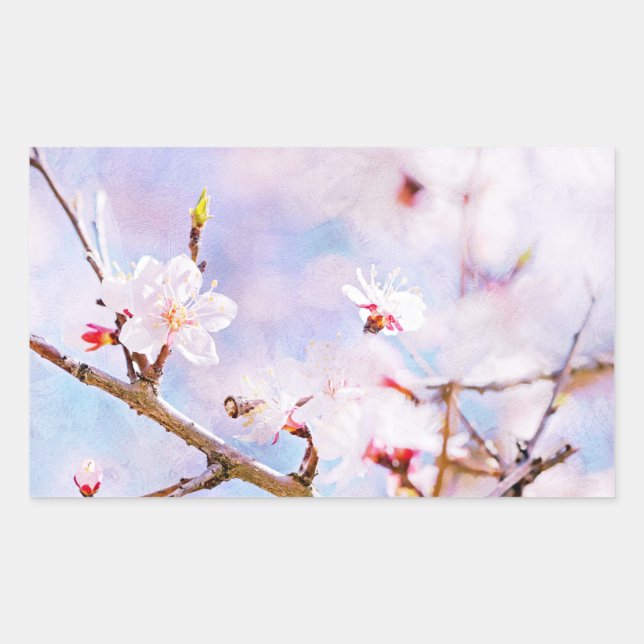 Pegatina Rectangular Cerezo japonés - Sakura en flor (Anverso)