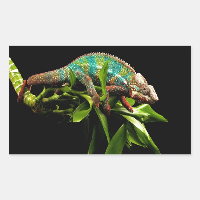 Pegatina Rectangular Chameleon (Anverso)
