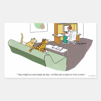 Pegatina Rectangular Charla de gato