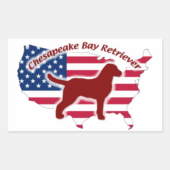 Pegatina Rectangular Chesapeake Bay Retriever (Anverso)