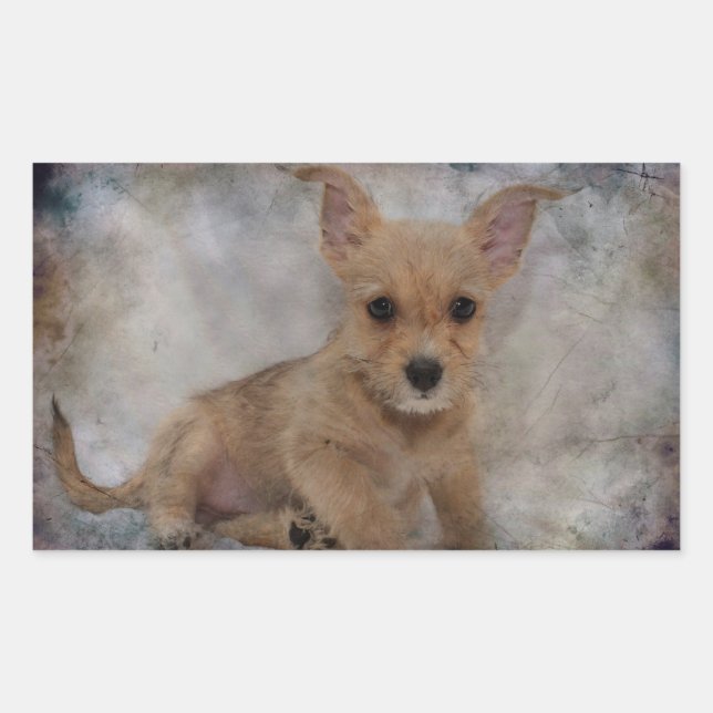 Pegatina Rectangular Chihuahua/Yorkie Puppy (Anverso)