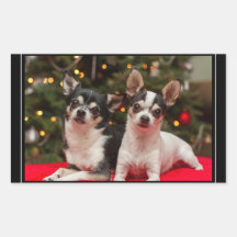 Chihuahuas de Navidad