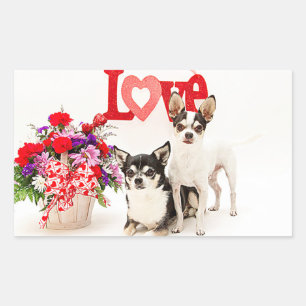 Pegatina Rectangular Chihuahua's, flores y amor
