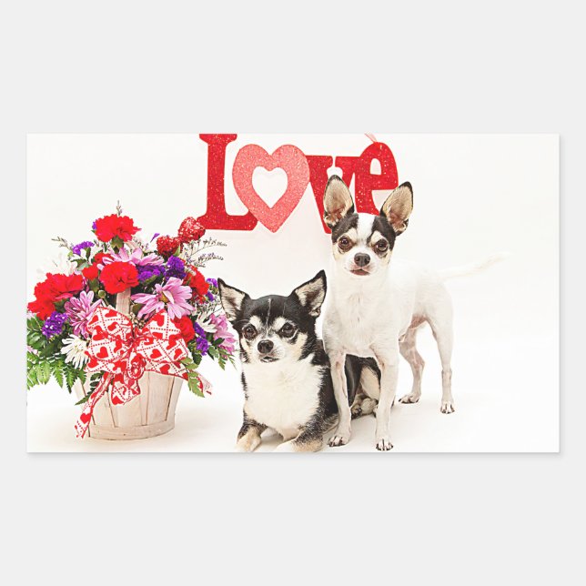 Pegatina Rectangular Chihuahua's, flores y amor (Anverso)
