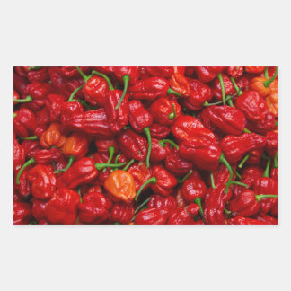 Pegatina Rectangular Chile Peppers de Fatalii 2