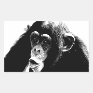 Pegatina Rectangular Chimpancé blanco negro
