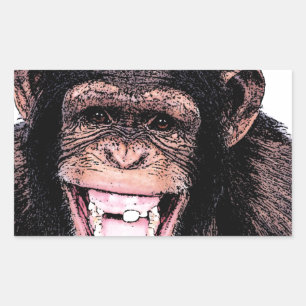 Pegatina Rectangular Chimpanzee