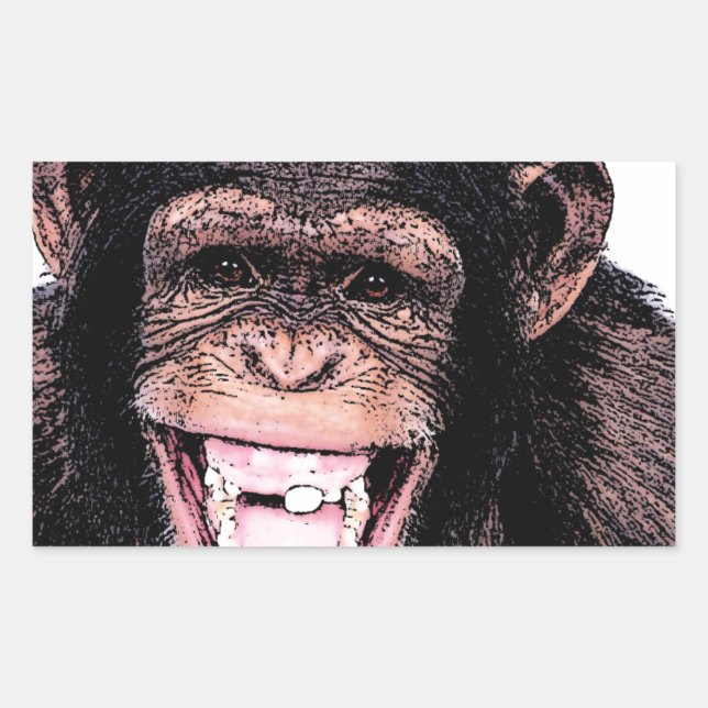 Pegatina Rectangular Chimpanzee (Anverso)