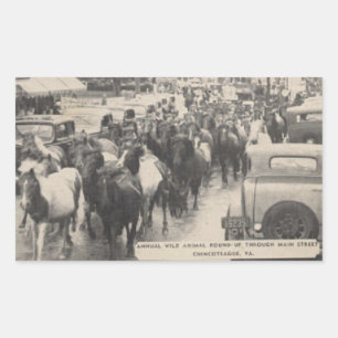 Pegatina Rectangular Chincoteague Pony Vintage Hípica Postcard Art