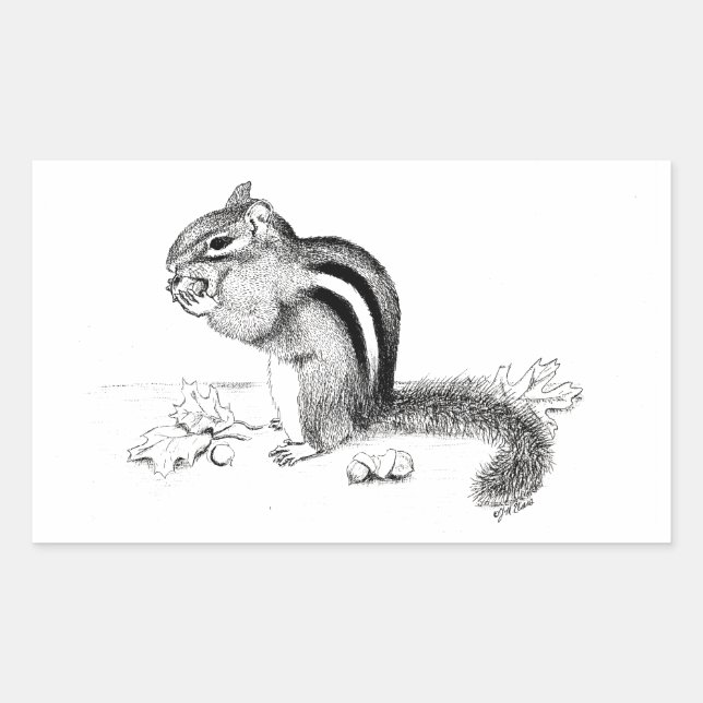 Pegatina Rectangular Chipmunk (Anverso)