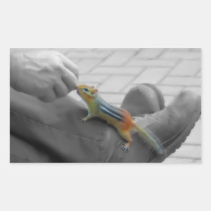 Pegatina Rectangular Chipmunk Lunch