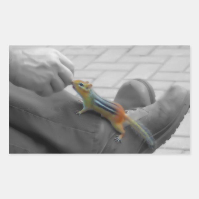 Pegatina Rectangular Chipmunk Lunch (Anverso)