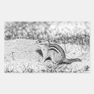 Pegatina Rectangular Chipmunk Sketch
