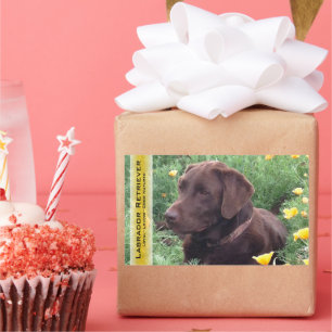 Pegatina Rectangular Chocolate Lab en California Poppy Patch Personaliz