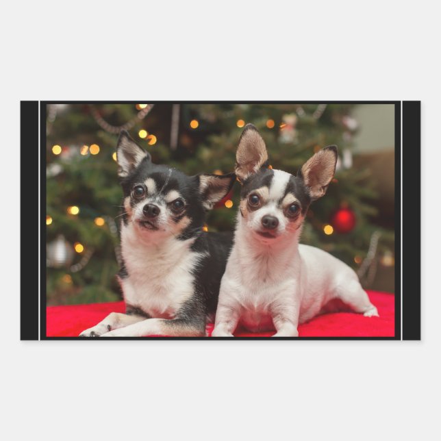 Pegatina Rectangular Christmas Chihuahua's (Anverso)