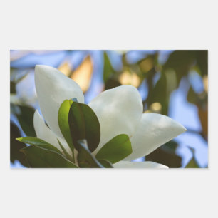 Pegatina Rectangular Cielo de Vidrio Pintado Regalos de Magnolia del Su