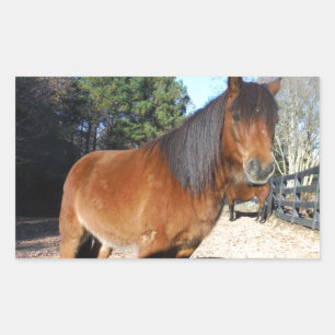 Pegatina Rectangular Cielo turquesa de pontón marrón