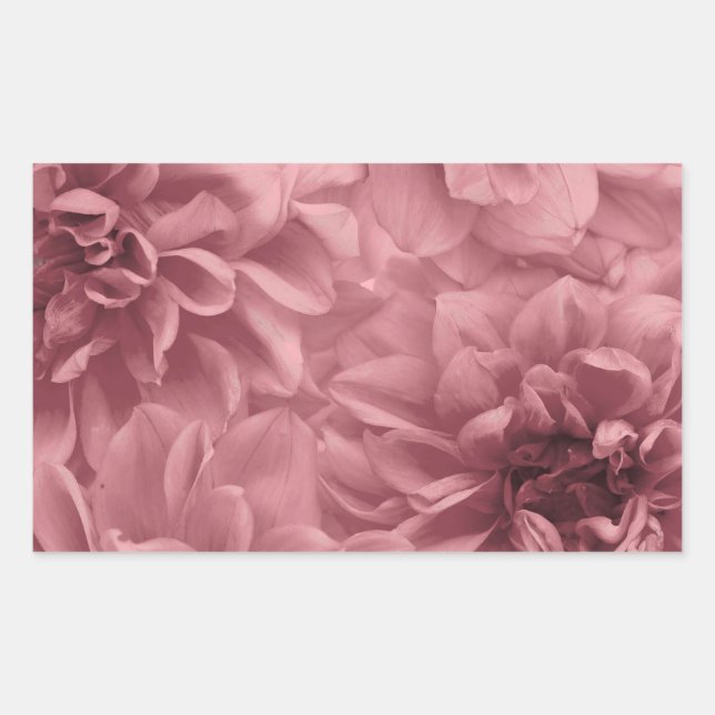 Pegatina Rectangular Clúster de Floral de Light Mauve Dahlias (Anverso)