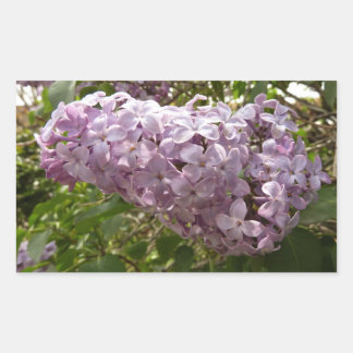 Pegatina Rectangular Clúster de Floral Primaria de Lilac Blossoms