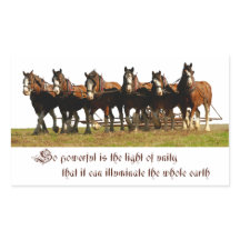 Clydesdales