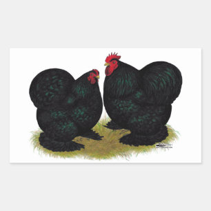 Pegatina Rectangular Cochins Black Bantam Pair
