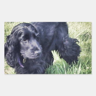 Pegatina Rectangular Cocker Spaniel Puppy