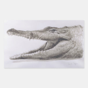 Pegatina Rectangular Cocodrilo 2005