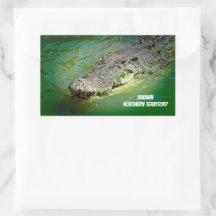 Cocodrilo de agua salada de Darwin