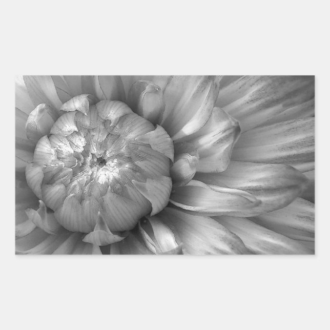 Pegatina Rectangular Colección de Bodas florales SILVER Dahlia (Anverso)