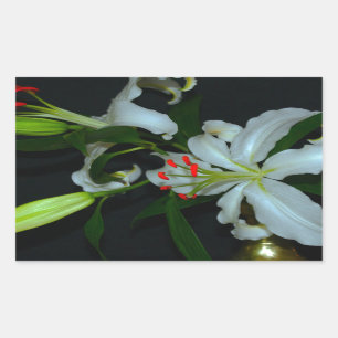 Pegatina Rectangular Colección irlandesa de Brass y Flores