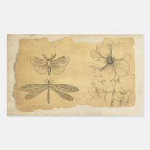 Pegatina Rectangular Collage Scrapbook