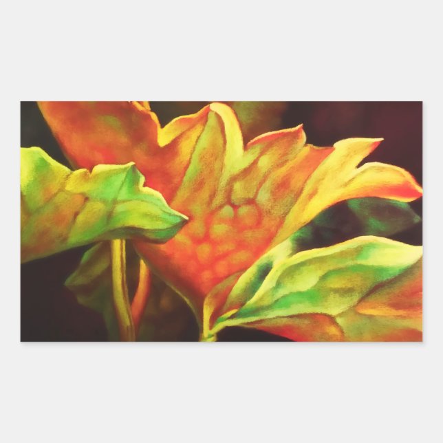 Pegatina Rectangular Color de agua brillante Lotus Leaf (Anverso)