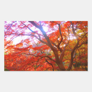 Pegatina Rectangular Color de otoño