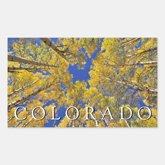 Pegatina Rectangular Colorado Otoño | Bosque de Aspen en Otoño (Anverso)