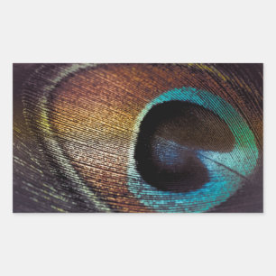 Pegatina Rectangular Colores Antiguos Ojo de Pluma de Pavo Real