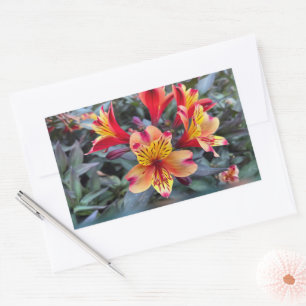 Pegatina Rectangular Colores de verano