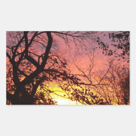 Pegatina Rectangular Colorida puesta de sol a través de los árboles des