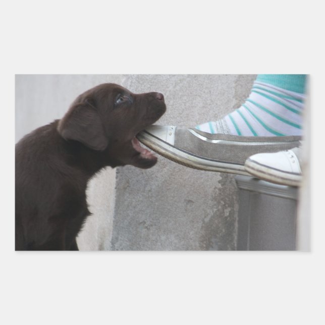 Pegatina Rectangular ¡Coma Mi Zapato! Labrador Puppy (Anverso)