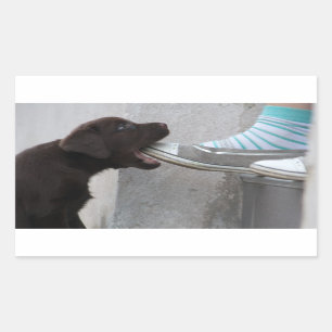 Pegatina Rectangular ¡Come Mi Zapato! Labrador Puppy