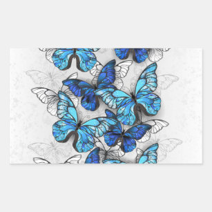 Pegatina Rectangular Composición de las mariposas blancas y azules